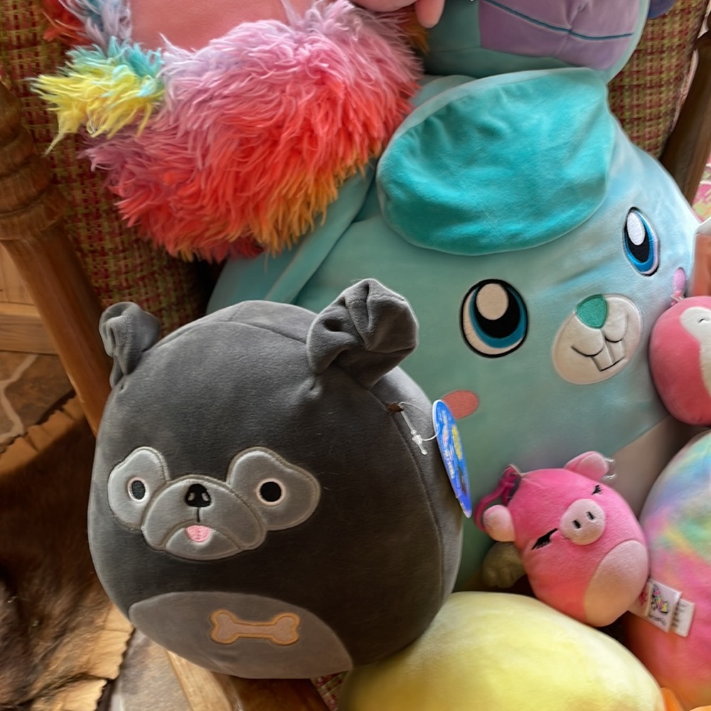 Squishmallows! - Picture 4 of 6